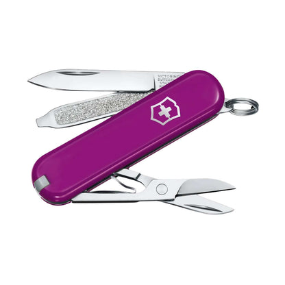 Classic Tasty Grape Mor Çakı -  Victorinox - 0.6223.52G