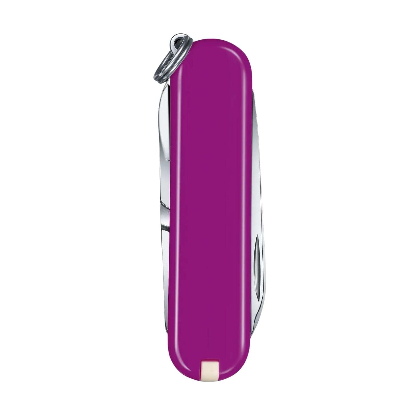 Classic Tasty Grape Mor Çakı -  Victorinox - 0.6223.52G