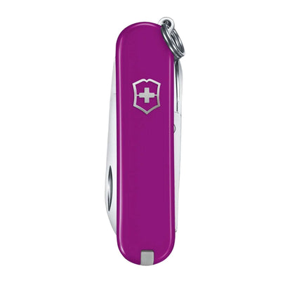 Classic Tasty Grape Mor Çakı -  Victorinox - 0.6223.52G